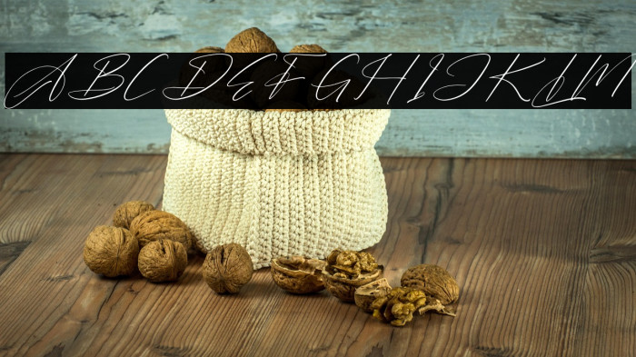 Barthwind DEMO VERSION Italic Example 2