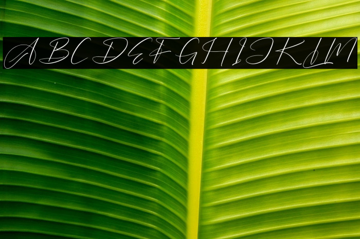 Barthwind DEMO VERSION Example 1