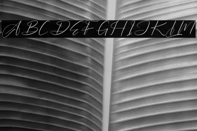 Barthwind DEMO VERSION Font examples