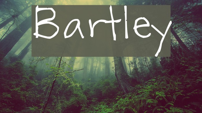 Bartley Font examples