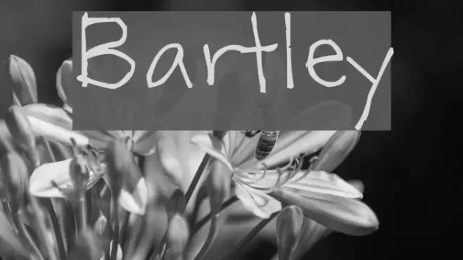 Bartley Font examples
