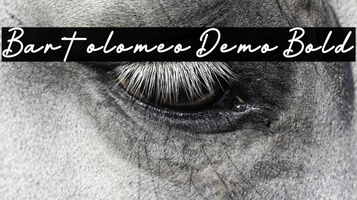 Bartolomeo Demo Bold Example 2