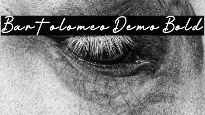 Bartolomeo Demo Bold Font examples