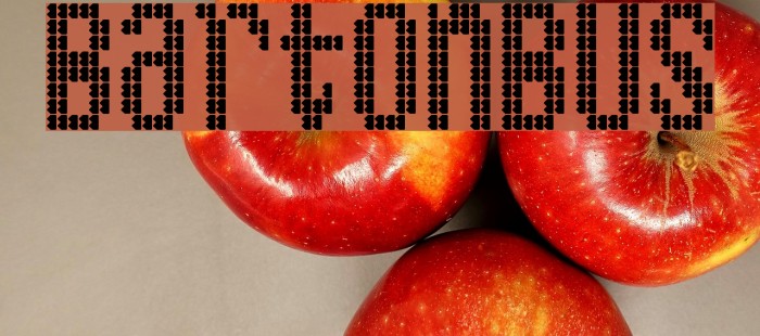 BartonBus Font examples