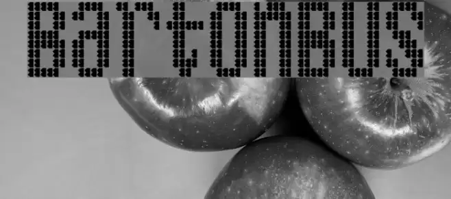 BartonBus Font examples