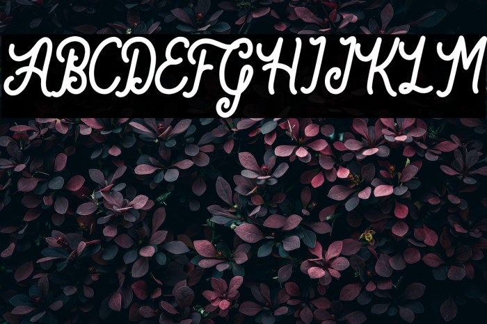 Bartond Script Example 1