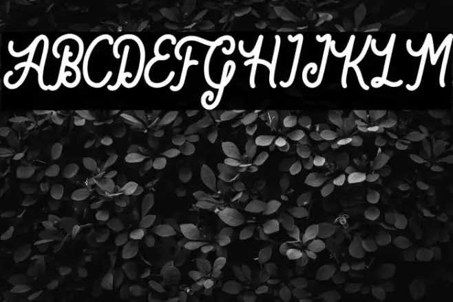 Bartond Script Example 1