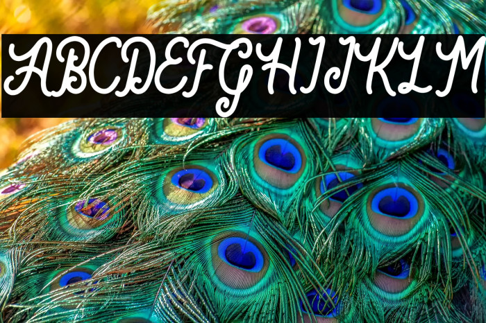 Bartond Script Example 3