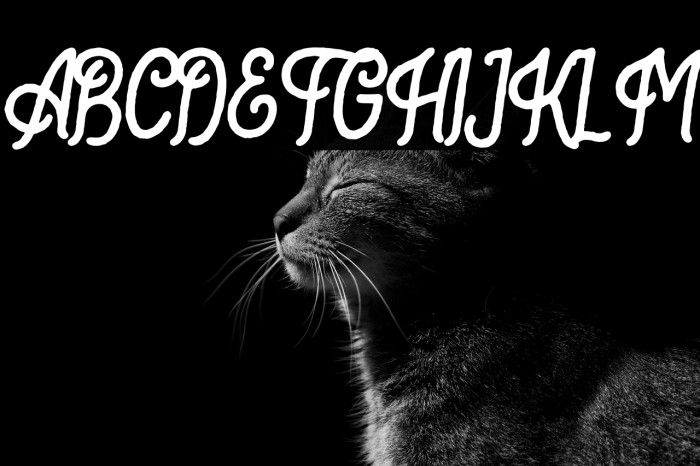 BartondTypefaceRegularDemo Example 2