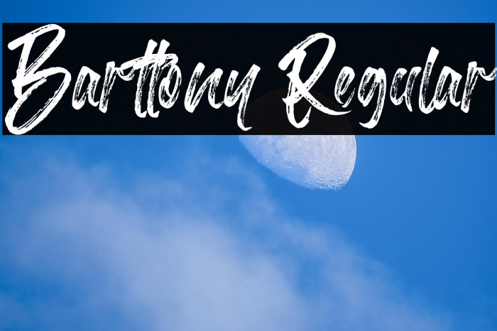 Barttony Regular Example 1
