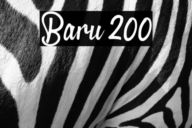 Baru 200 Example 3