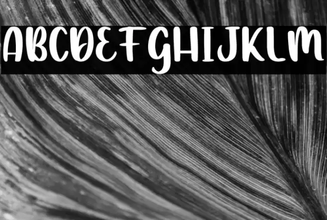 Barudaks Font examples