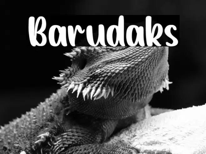 Barudaks Font examples