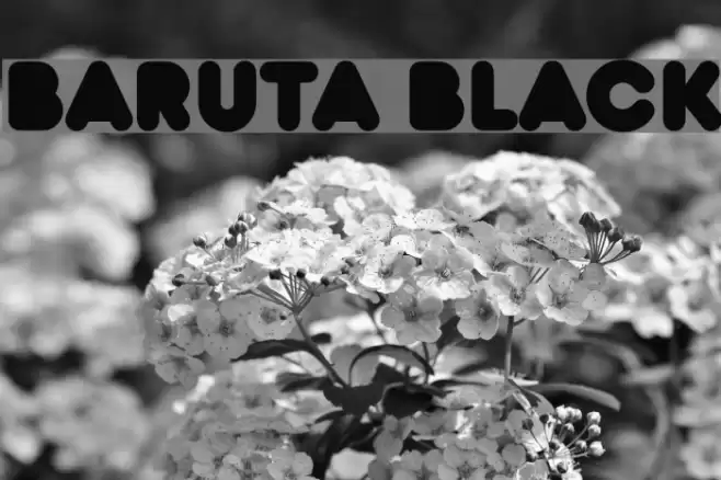 Baruta Black  examples