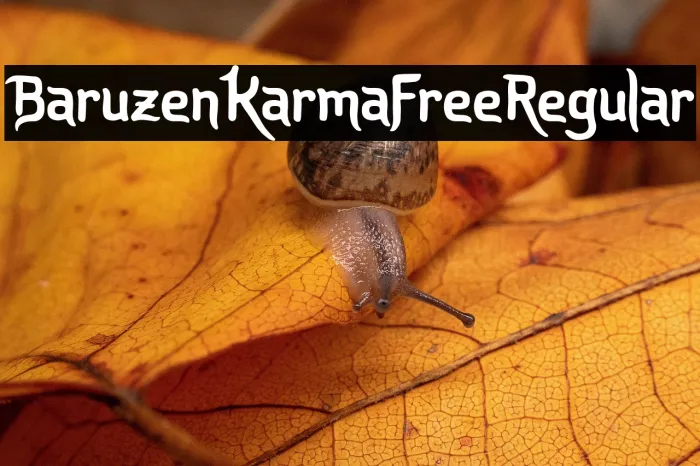 Baruzen Karma Free Regular Example 1