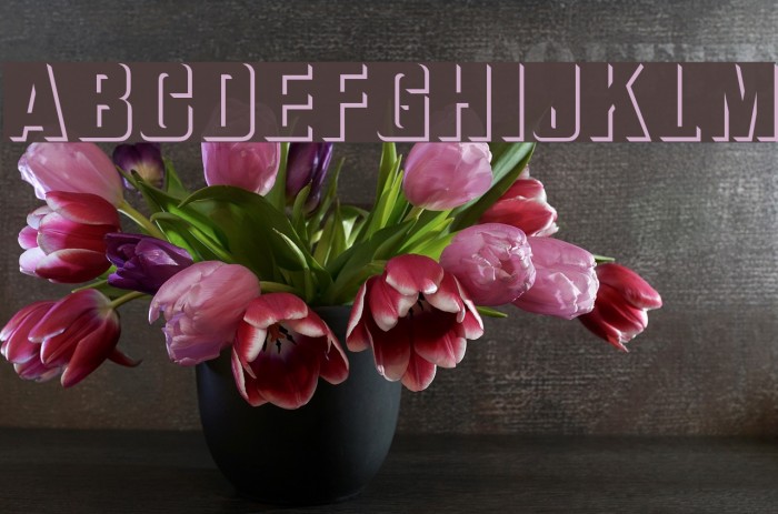 Bas Relief Font examples