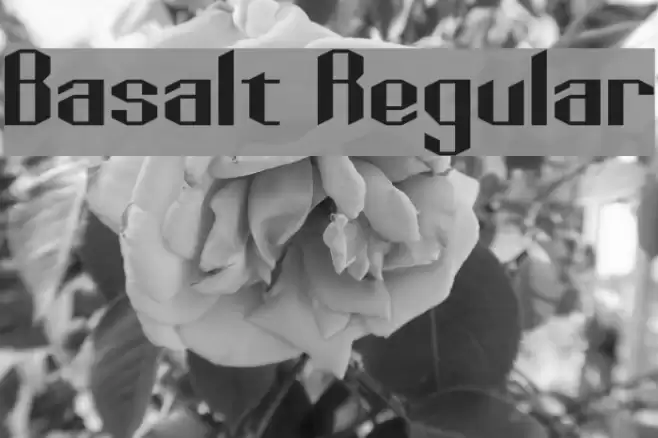Basalt Regular Font examples