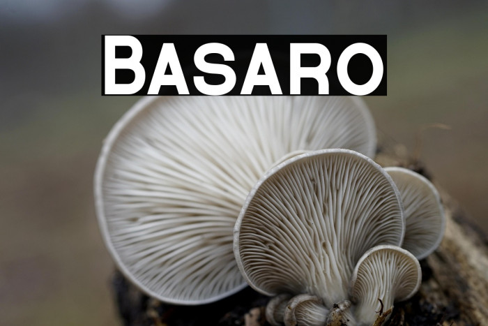 Basaro Example 2