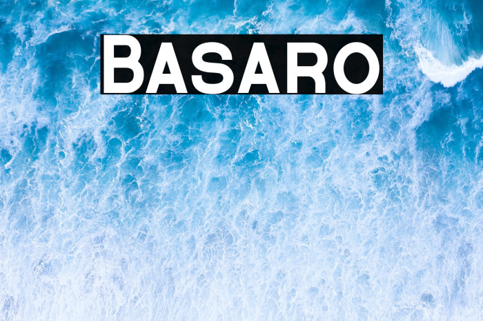 Basaro Example 3