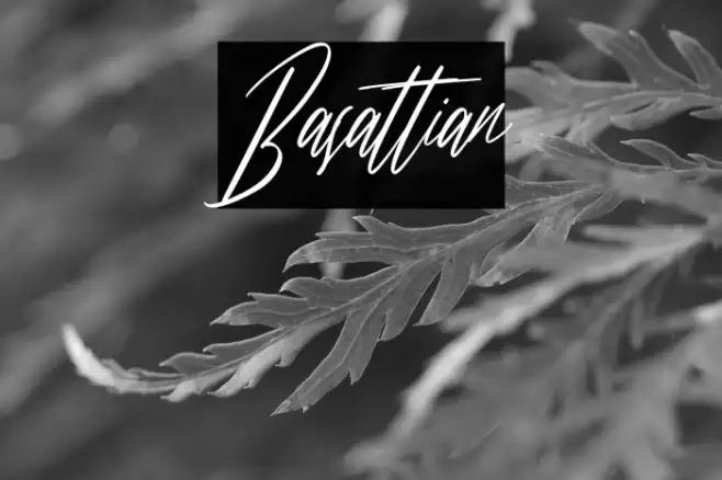 Basattian Caratteri examples