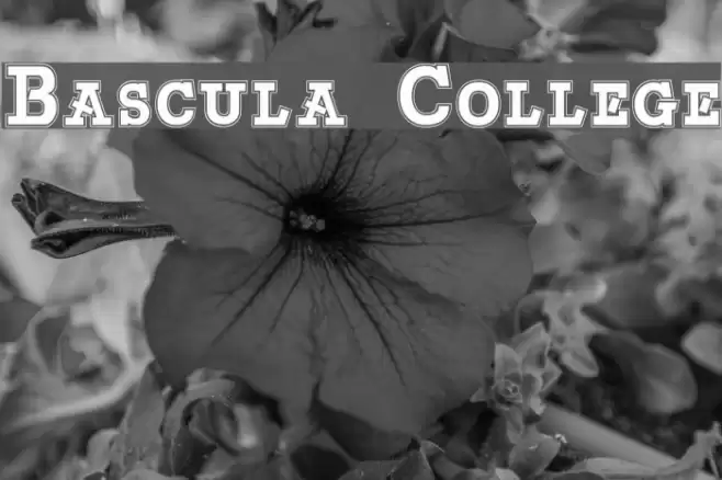 Bascula College Font examples
