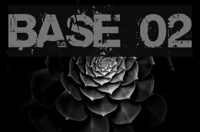 Base 02 خط examples
