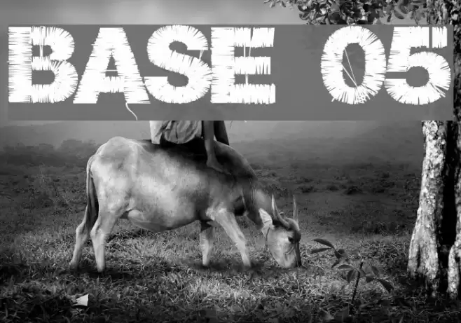 Base 05 Font examples