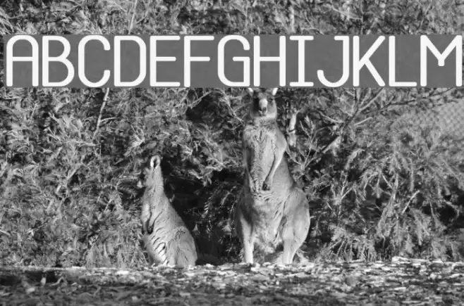 Base-5 Font examples