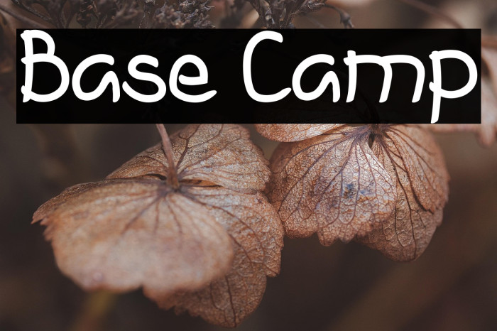Base Camp Example 1