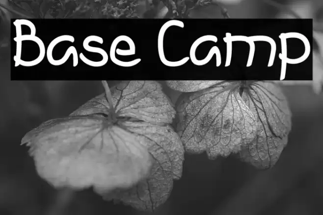 Base Camp Font examples