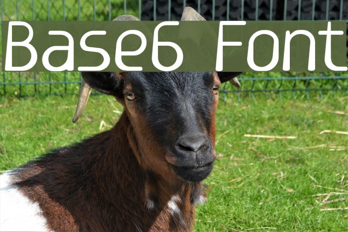 Base6 Font examples