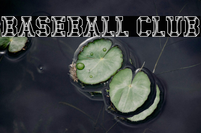 Baseball Club Example 3