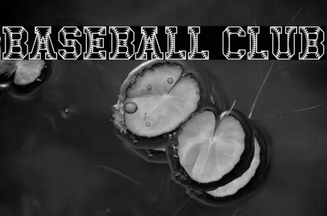 Baseball Club Font examples