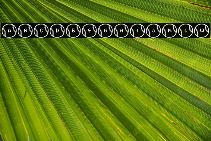 Baseball Letters Demo Regular Example 1