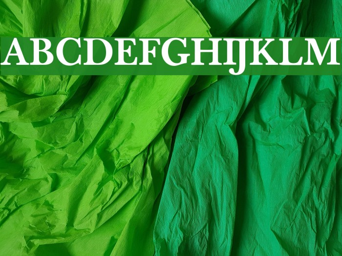 BaselBook Bold Font examples