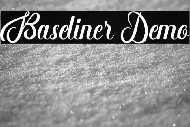 Baseliner Demo Font examples
