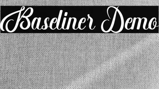 Baseliner Demo Font examples