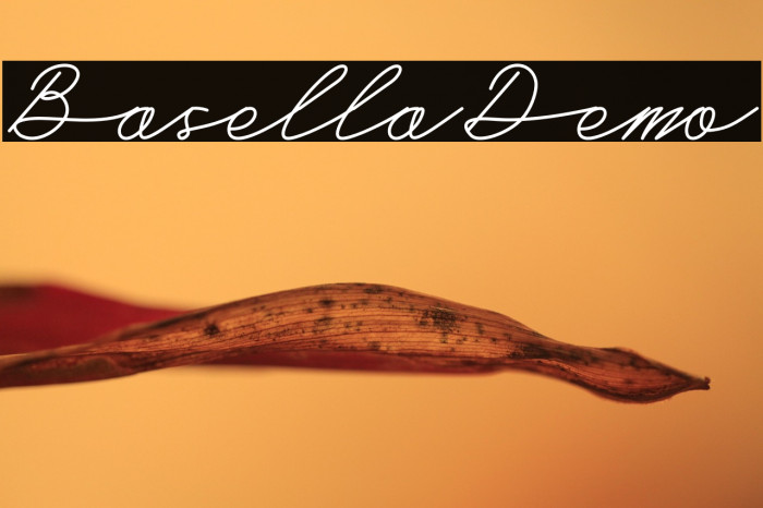 Basella-Demo Example 1