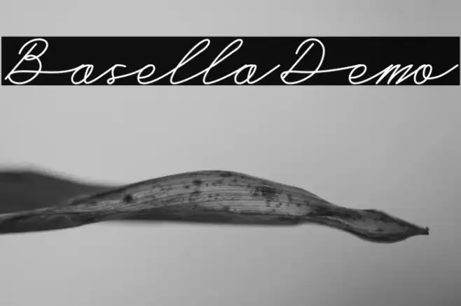 Basella-Demo Example 1