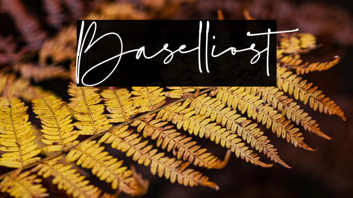 Baselliost Example 1