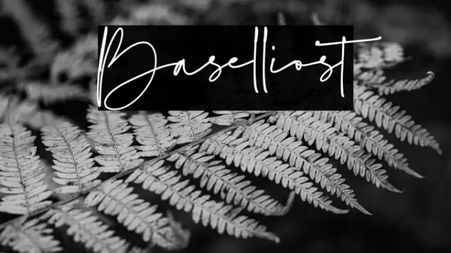 Baselliost Font examples