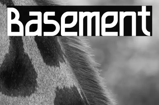 Basement Font examples