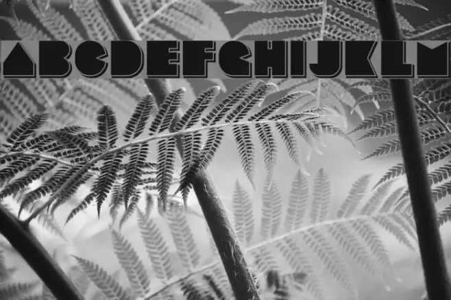 Basenglah-Shadow Font examples