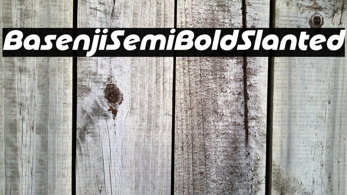 Basenji SemiBold Slanted Example 1