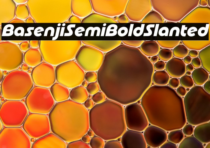 Basenji SemiBold Slanted Example 3