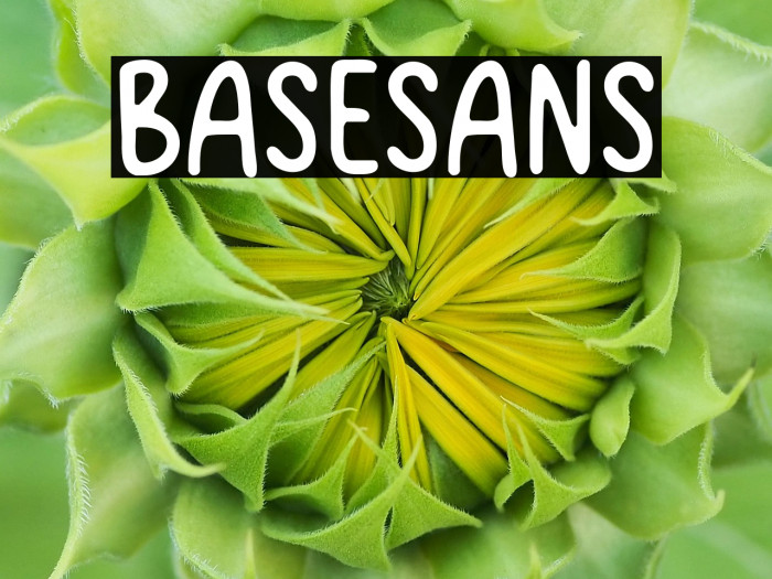 Basesans Example 1