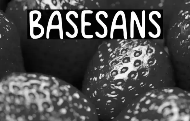 Basesans Font examples