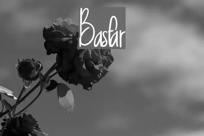 Basfar Font examples