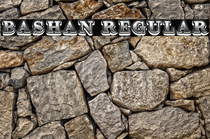 Bashan Regular Example 1