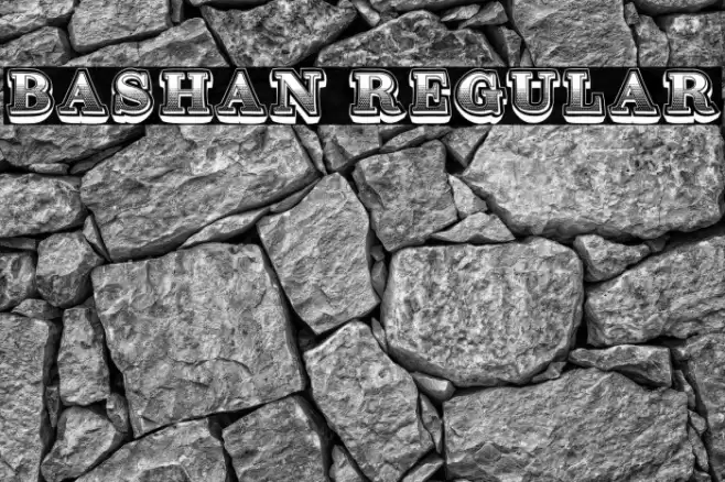 Bashan Regular Font examples
